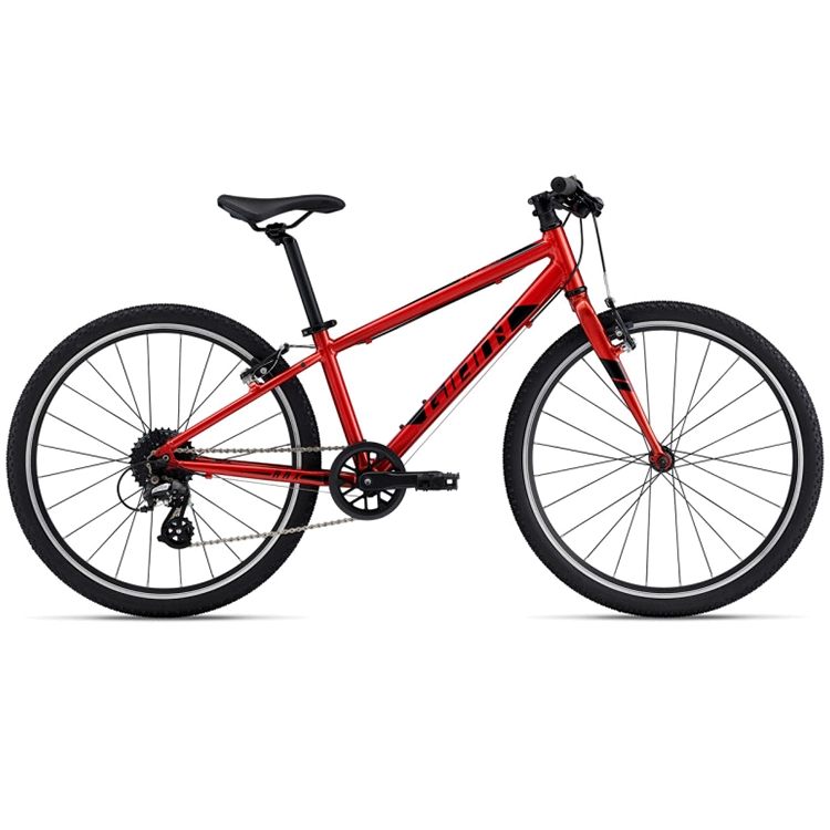 Велосипед для детей Giant ARX 24